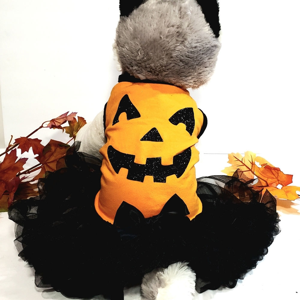 Pawpatu Orange Pumpkin Black Tutu Halloween Dog Cat Costume Dress Sz S(8-12lbs)